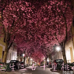 粗口变态辱骂调教91
